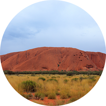 Close-up van Uluru,  of Ayers Rock, Noordelijk Territorium, Australië van Henk van den Brink