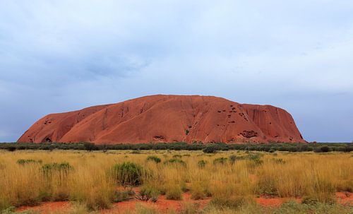 Close-up van Uluru,  of Ayers Rock, Noordelijk Territorium, Australië