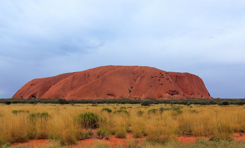 Close-up van Uluru,  of Ayers Rock, Noordelijk Territorium, Australië von Henk van den Brink