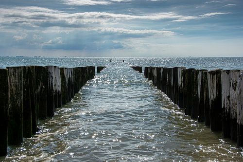 Poleheads on the coast near Zoutelande