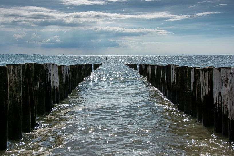 Poleheads on the coast near Zoutelande by Roland de Zeeuw