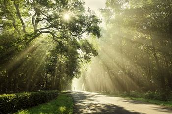 Der glückliche Radfahrer.