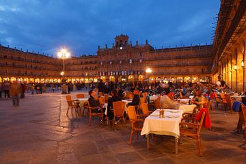 Plaza Mayor mit Rathaus bei Abenddämmerung, Salamanca, Castilla y Leon, Kastilien-Leon, Spanien