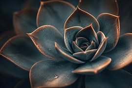 Rusty Plant by Salt Theory