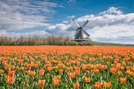 paysage de tulipes avec un moulin à vent néerlandais par eric van der eijk Aperçu
