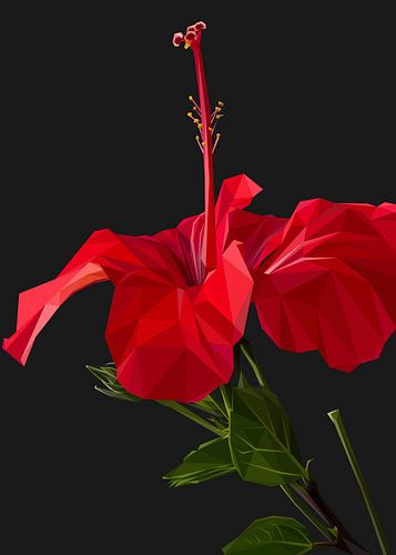 Red Shoeblackplant in Lowpoly Abstract