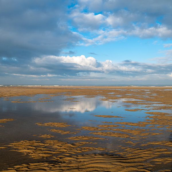 Reflections on the Zwin by Kees Kroon