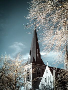 Sint Lambertus kerk Beers #4 van Lex Schulte