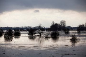 Hochwasserstand der Waal von Kees van Dun