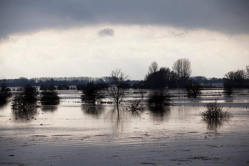 High water level of the Waal by Kees van Dun