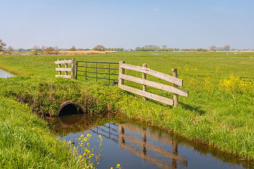 Weidezaun im Wasser reflektiert von Ruud Morijn