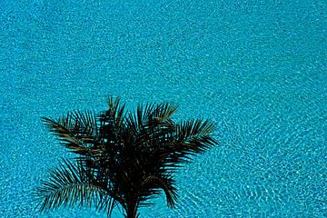 SUMMER 1 by Miroslav Ptacek