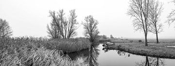 Herfst in Zuid Holland van Matthijs Peeperkorn