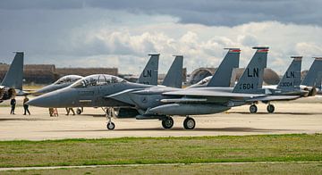 U.S. Air Force McDonnell Douglas F-15E Strike Eagle. by Jaap van den Berg