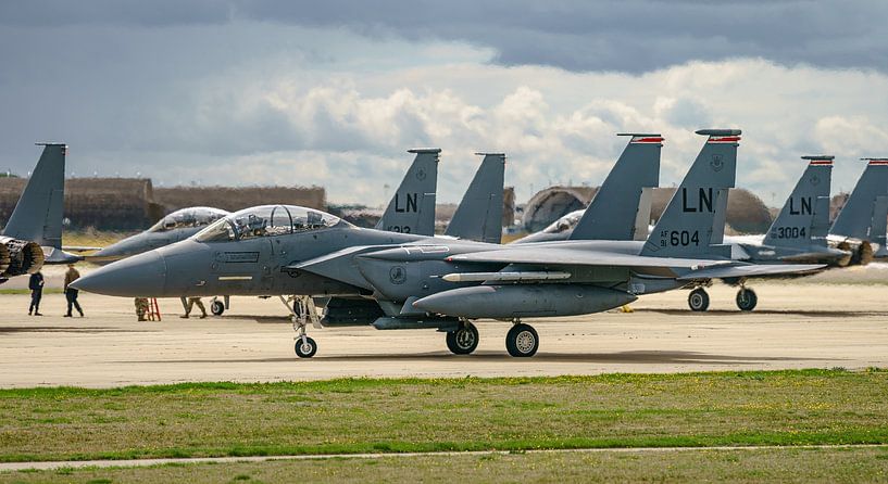 McDonnell Douglas F-15E Strike Eagle de l'armée de l'air américaine. par Jaap van den Berg