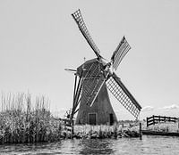 Le meilleur des Pays-Bas