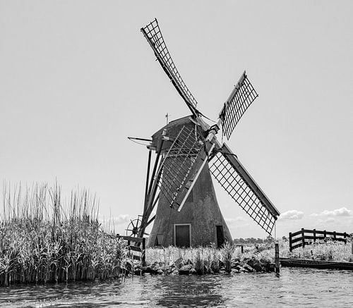 Hollands best