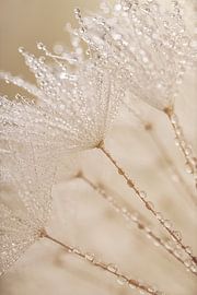 Tranquillity: Ein kleines Stück Natur im Haus (in Pastelltönen) von Marjolijn van den Berg