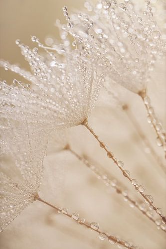 Rust: Een klein stukje natuur in huis (in pasteltinten)