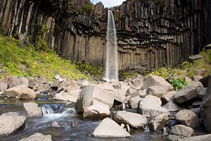 Svartifoss Wasserfall Island