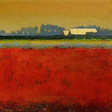 Polder the Purmer in the late afternoon by Ger Veuger