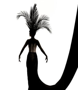 Palm leaf headdress
