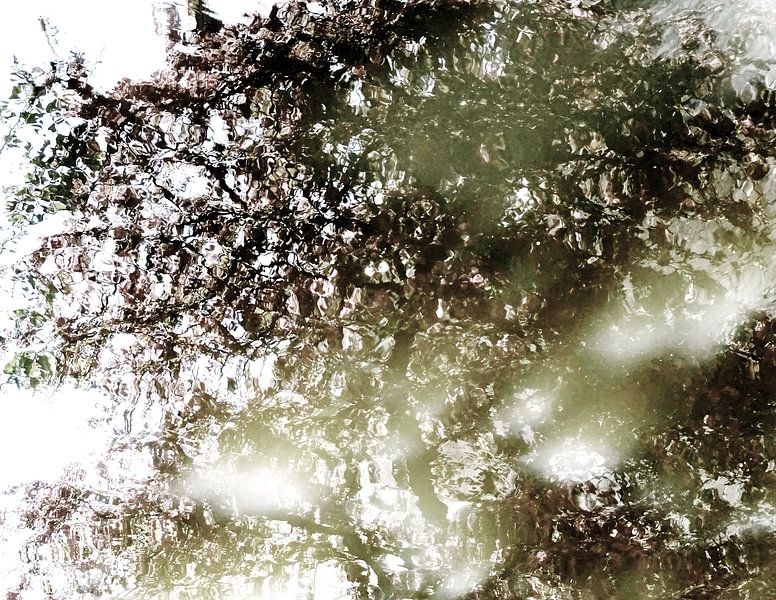 Tree Magic 113 - Nightfall! von MoArt (Maurice Heuts)