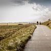 Een wandeling op Texel. van Anneke Hooijer
