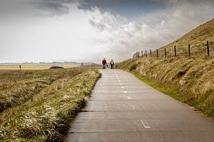 A walk on Texel.