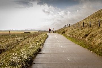 Une promenade sur le Texel. sur Anneke Hooijer