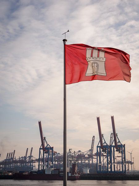 Hamburg harbour flag - harbour cranes container ship by Der HanseArt