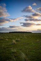 Landschaft auf Ameland
