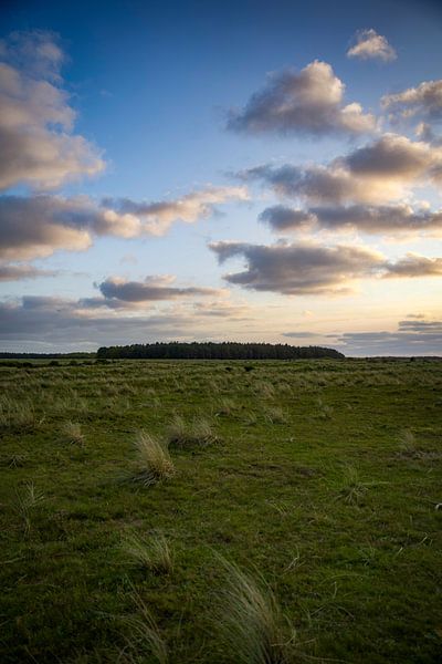 Landschaft auf Ameland von Emma te Pas