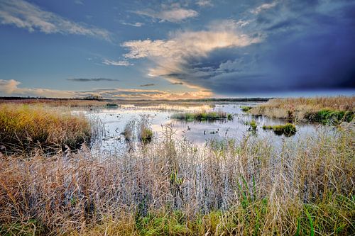la nature et le temps depuis un paysage de dunes