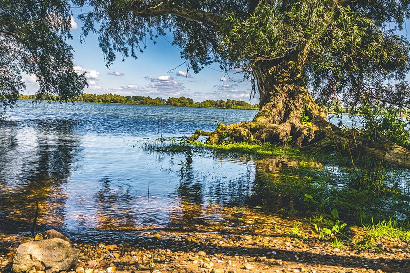 Tongplaat Strand - Dordtse Biesbosch von Lizanne van Spanje