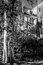 Verborgen tuinen in historisch Amersfoort by Watze D. de Haan thumbnail
