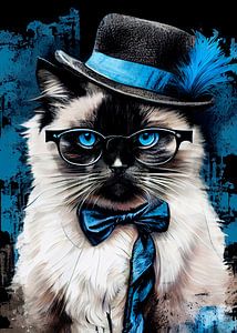 hipster cat Pearl #cat
