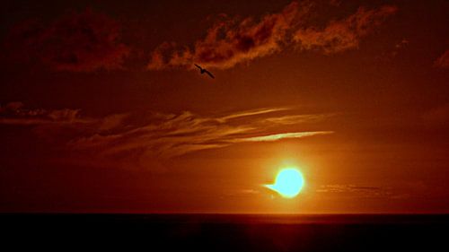 Zonsondergang - Sunset 