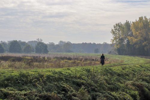 Promenade de rêve