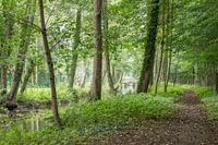 Weg am Heidebach mit Brücke
