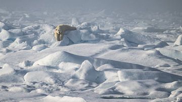 Even ontspannen! van Koen Hoekemeijer