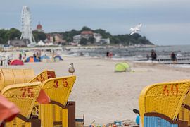 Strandleben in Kühlungsborn von Holger Bücker