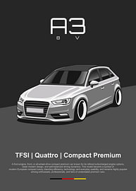 Audi A3 8V sur Kaminarirace
