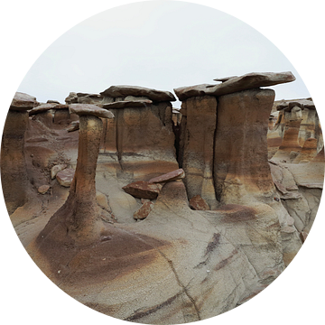 Bisti Badlands, chocolade hoodoos, New Mexico, VS van Frank Fichtmüller