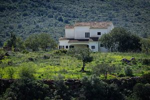 Maison à Alte