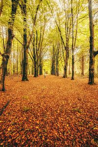 Autumnmood | Hof Espelo (3)