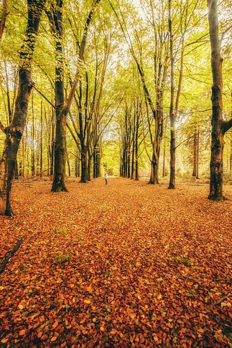 Autumnmood | Hof Espelo (3)