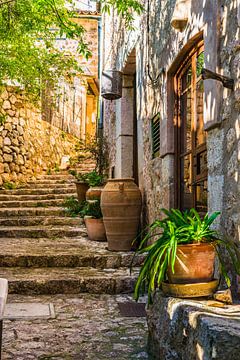 Vue idyllique d'une maison méditerranéenne avec décoration de plantes en pot sur Alex Winter
