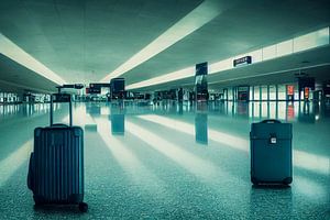Koffer am Terminal auf dem Flughafen Illustration von Animaflora PicsStock
