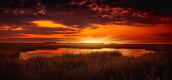 Goldene Stunde Schiermonnikoog